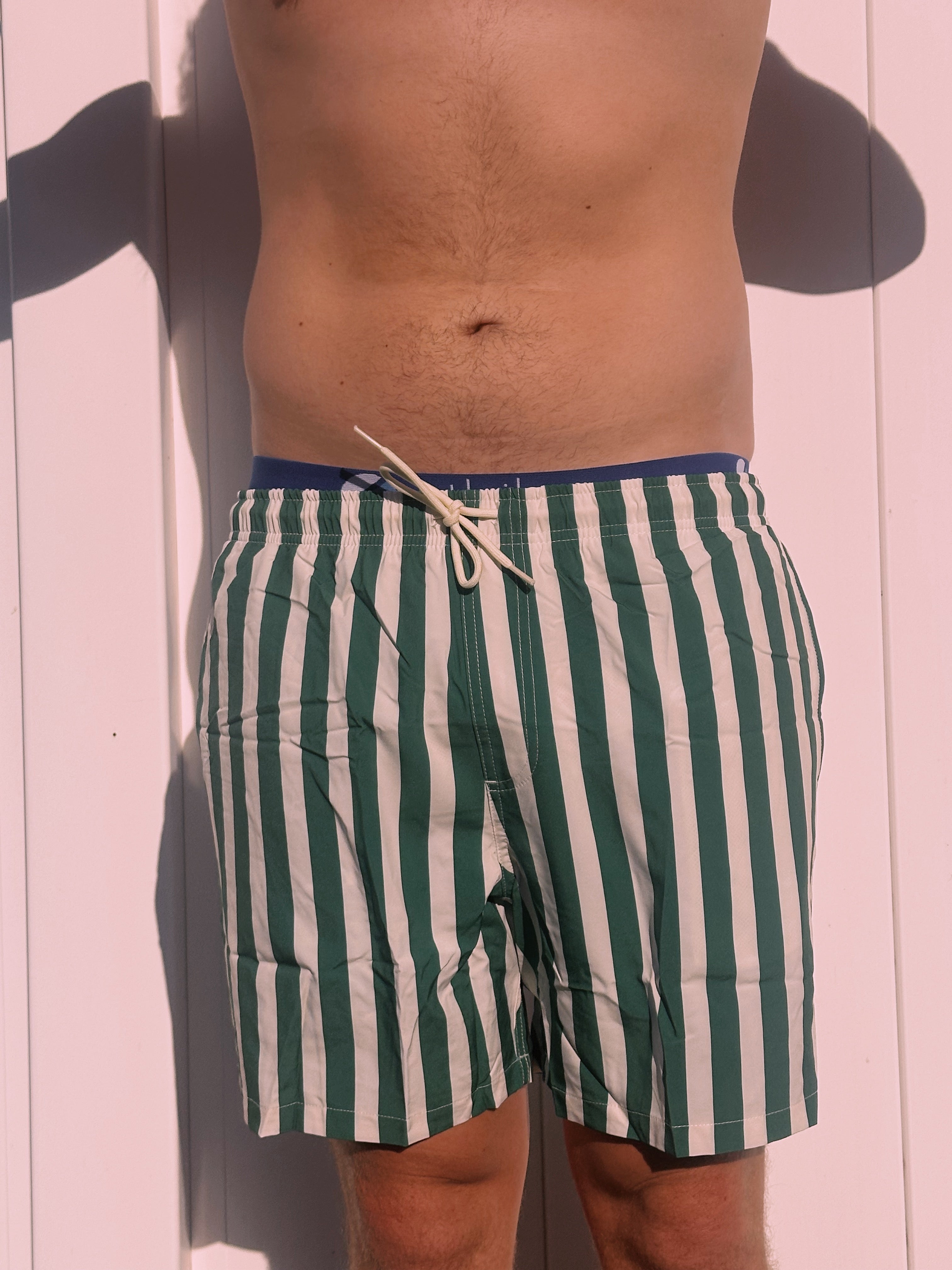 PALM PICNIC SHORTS