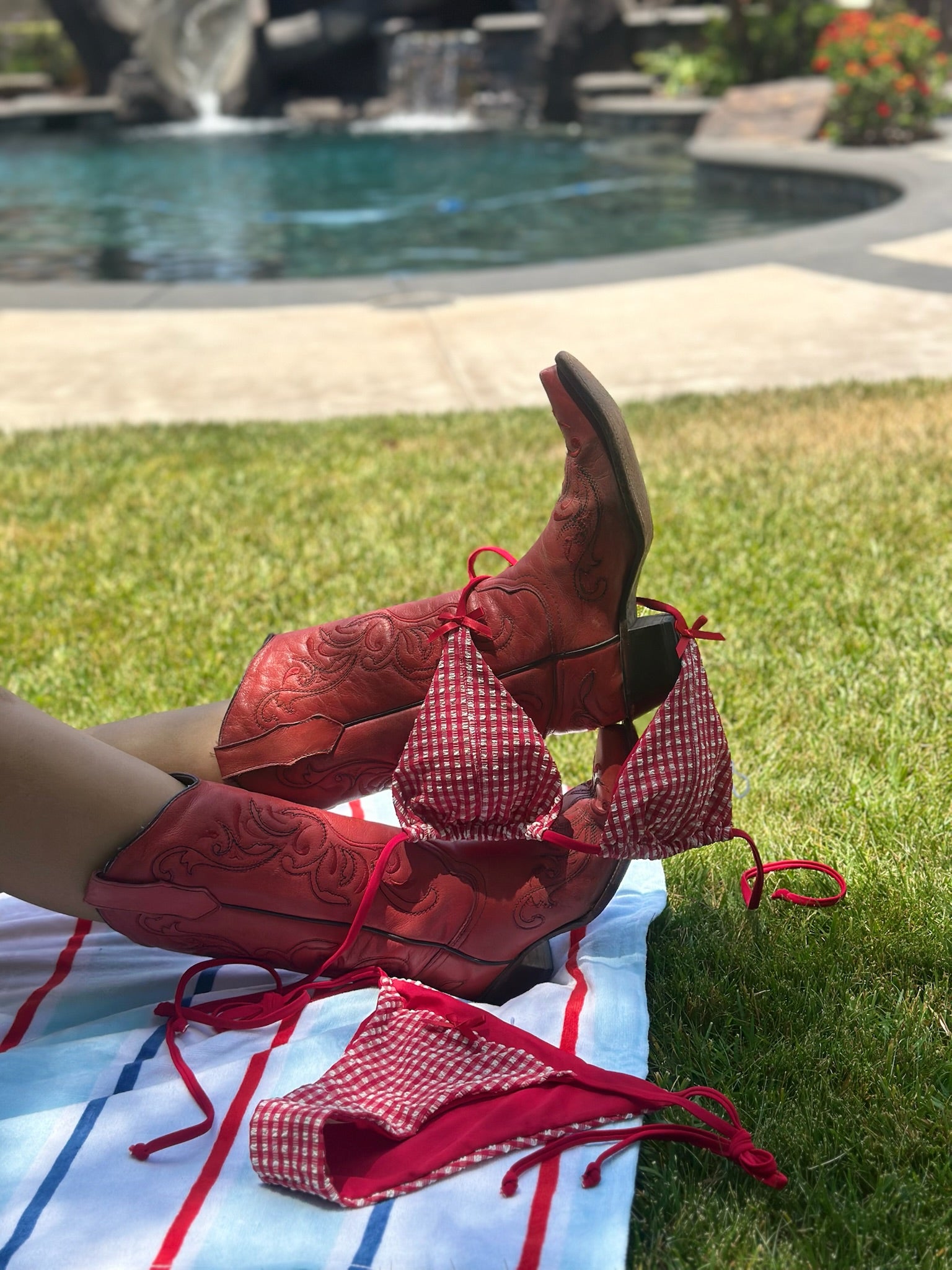 AMERICAN PICNIC
