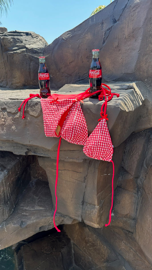 AMERICAN PICNIC